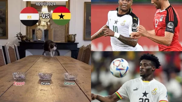cat prediction ghana black stars vs egypt