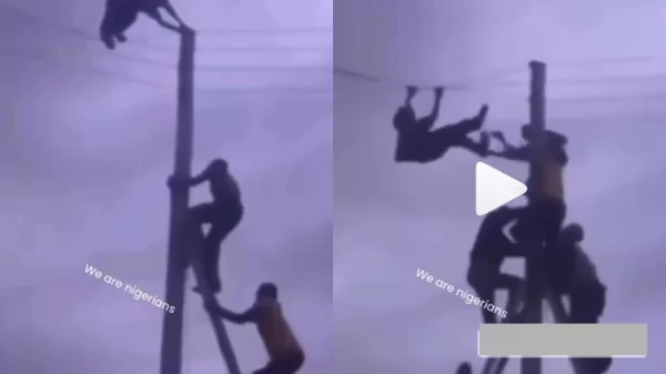 thief climbs electricity pole