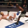 Floyd Mayweather vs Tenshin Nasukawa boxing