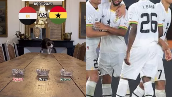 cat predictions ghana vs egypt