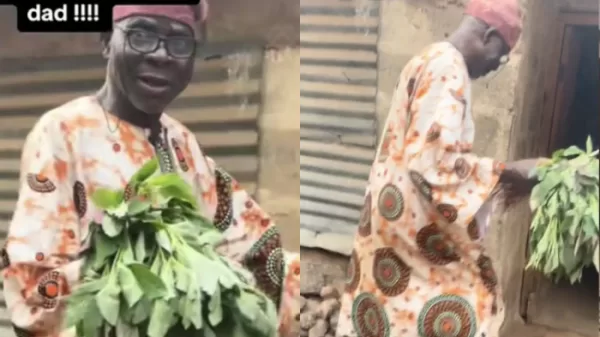 man surprises Wife Vegetable Valentine Day Gift