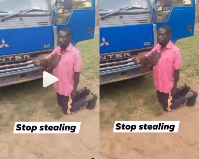 bees arrest man stealing truck
