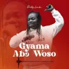Daddy Lumba Gyama Abo Woso Music Video