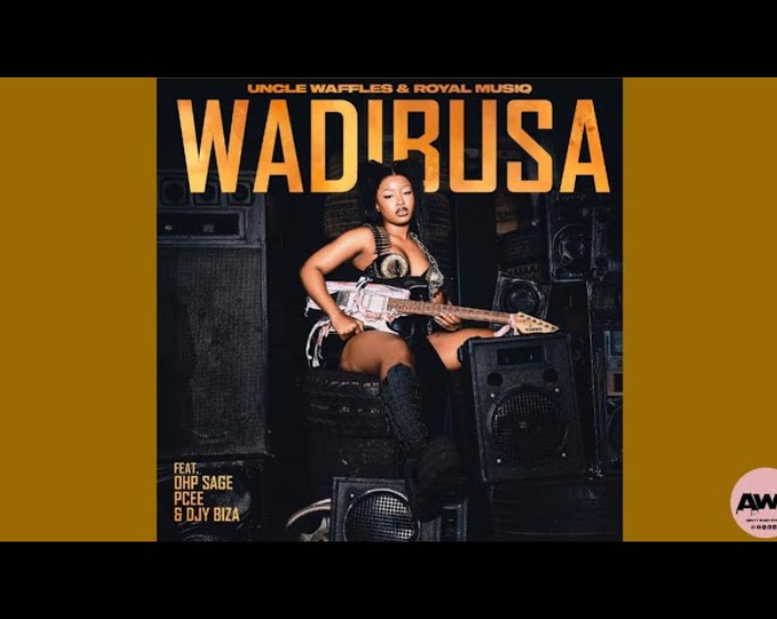 Uncle Waffles & Royal MusiQ Wadibusa music video