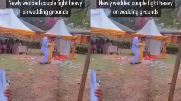 Newly Wedded Couple Fight