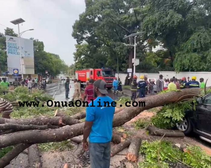 Tree falls motorbike SUV in Cantonments