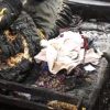 girl set boyfriend room on fire