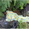 winneba elderly patient death