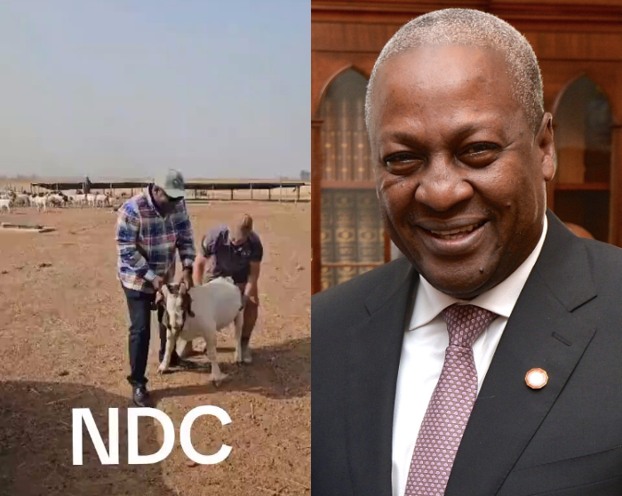 John Mahama Goat Video 2024