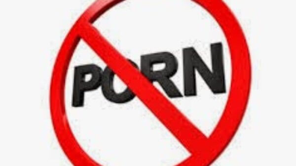 Nigeria Blocks an Bans Pornographic Websites